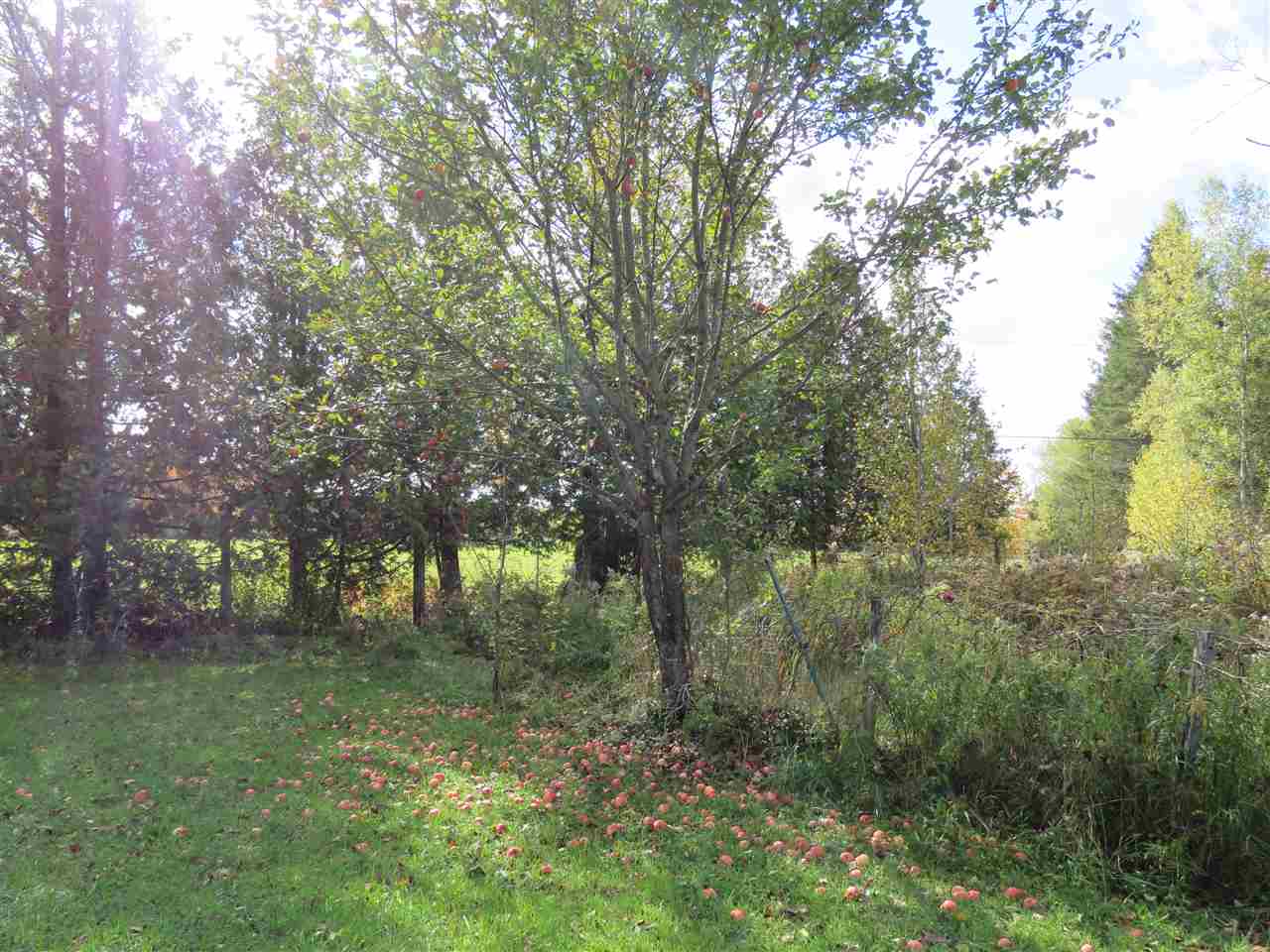 1260 Pepin Road Brownington, VT 05860 - Photo 24 of 36