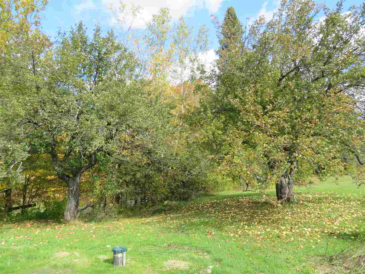 1260 Pepin Road Brownington, VT 05860 - Photo 26 of 36