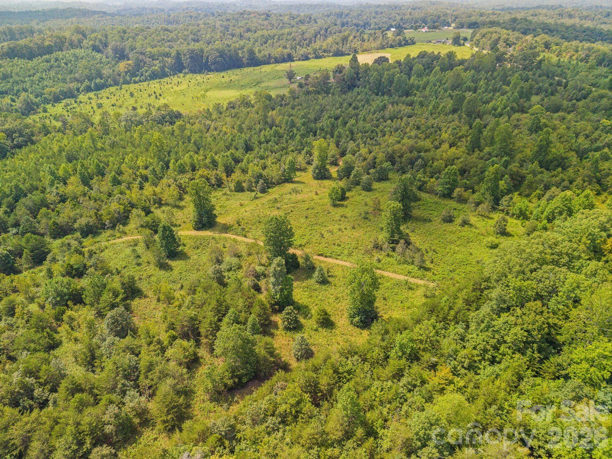 0 Chilly Bowl Road Rutherfordton, NC 28139 - Photo 16 of 18 Gallery Image 16