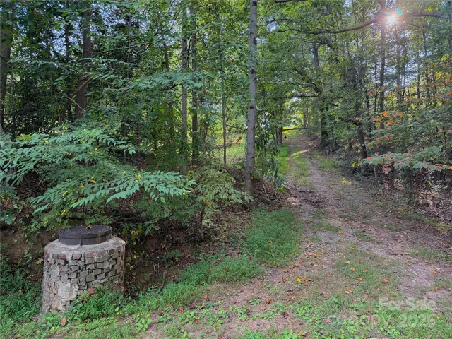 a view of a garden with trees