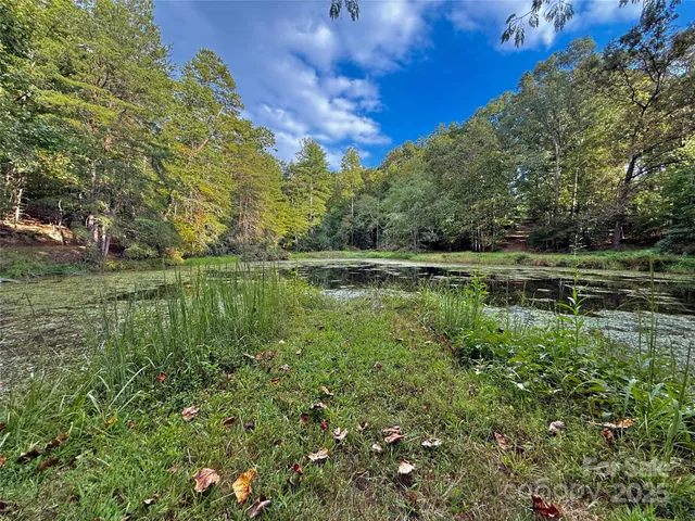 a view of a lake with a yard
