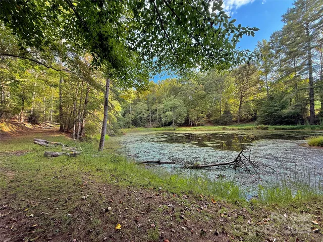 a view of a garden with large trees