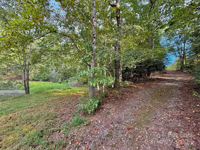 a view of a field with trees in the background