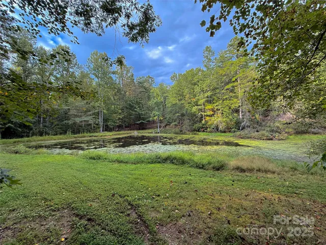 a view of outdoor space with trees all around
