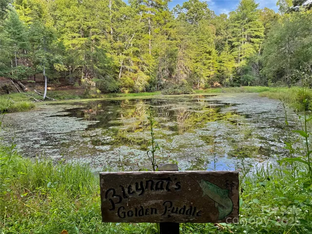 a view of a field with an trees