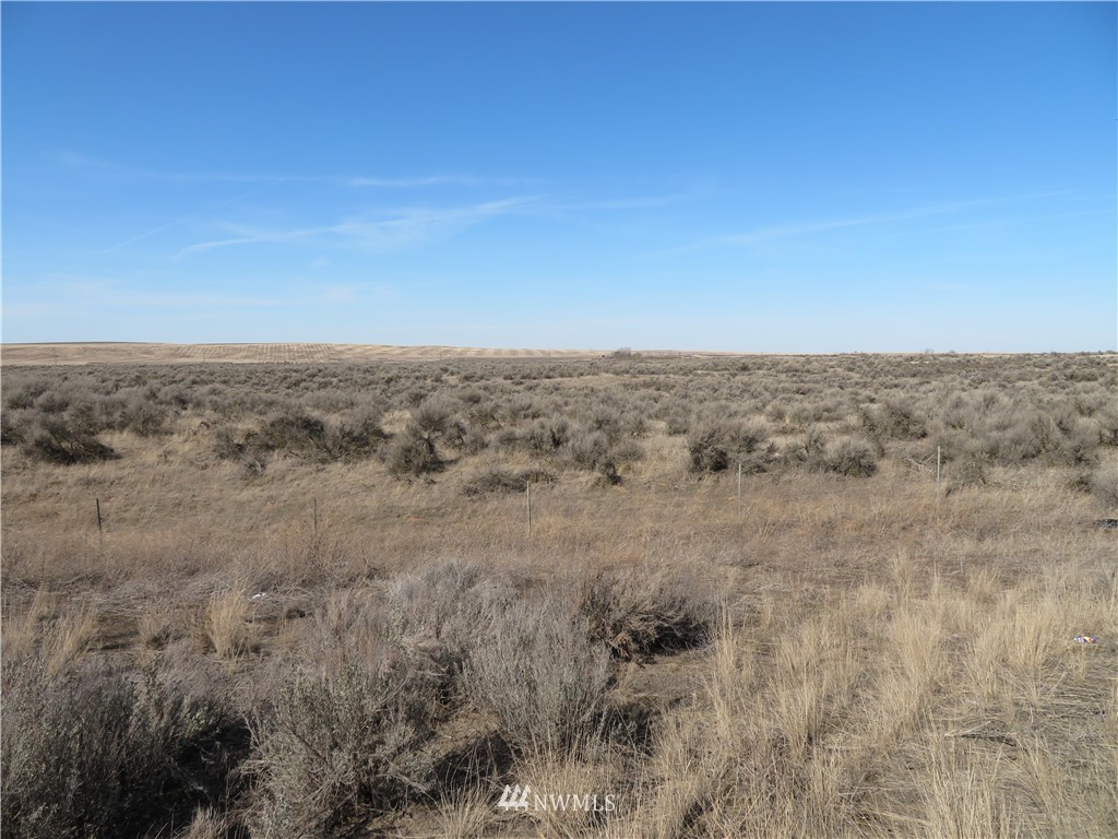 1 East Schoessler Road Ritzville, WA 99169 - Photo 8 of 9
