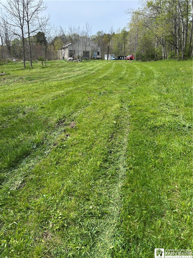 3675 Gerry Levant Road Ellicott, NY 14733 - Photo 2 of 10
