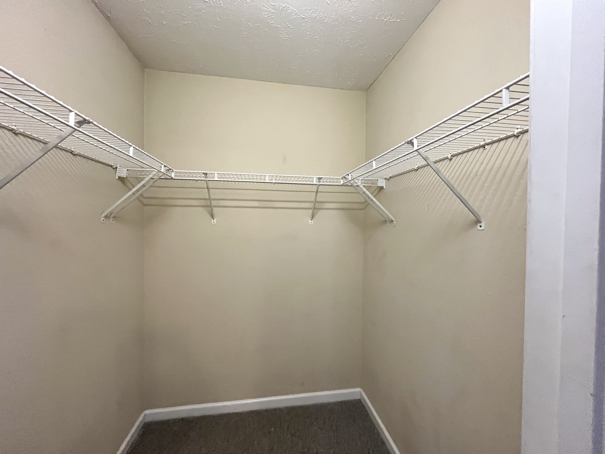 3023 London View Murfreesboro, TN 37128 - Photo 14 of 17