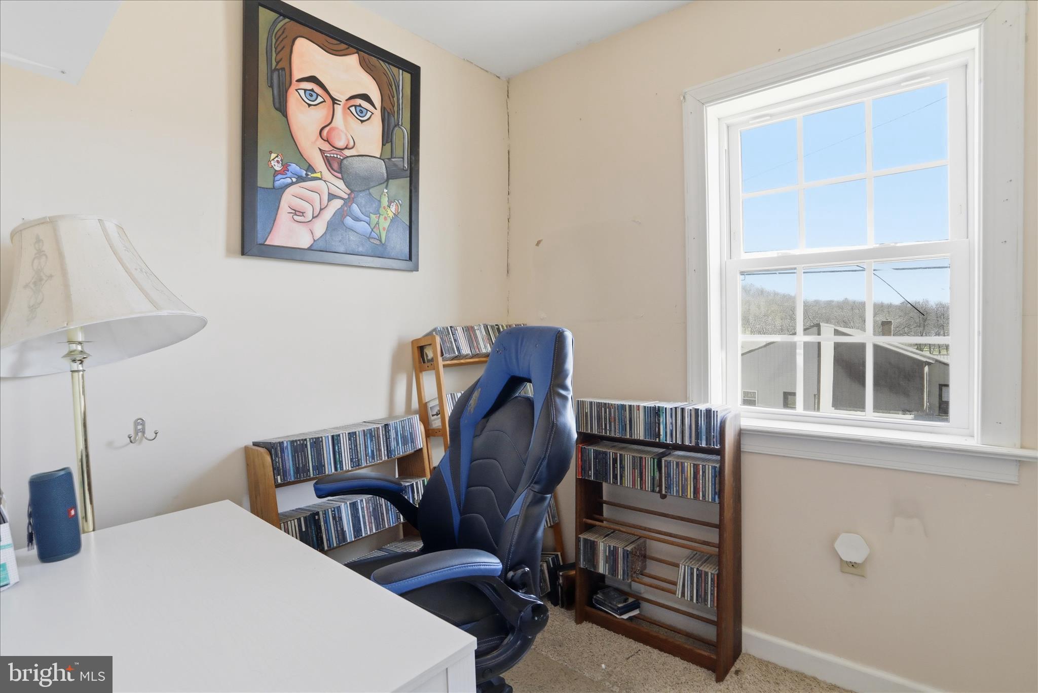 8303 Cumberland Road Springfield, WV 26763 - Photo 27 of 45