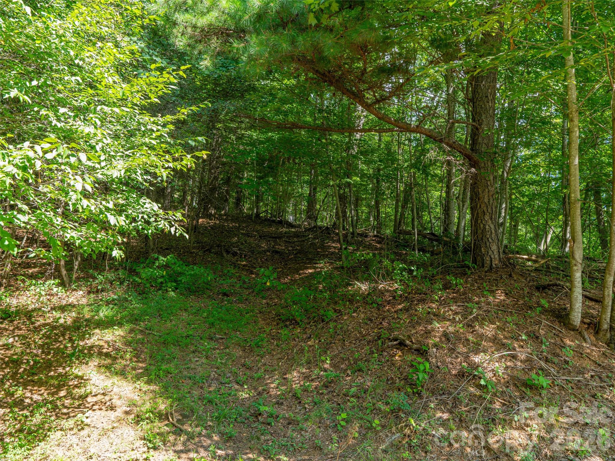 0 Locust Rough Mountain Road, Unit LOT 6 Burnsville, NC 28714 - Photo 19 of 26