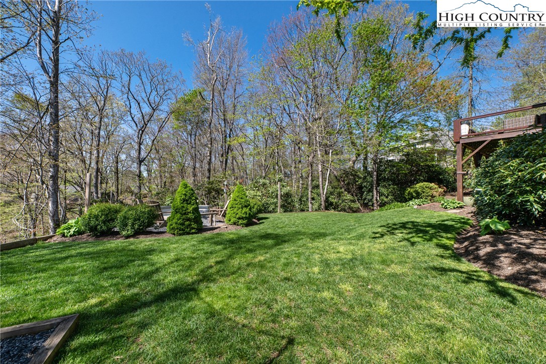 162 Pinecrest Court Boone, NC 28607 - Photo 48 of 50 a view of a yard with plants and large trees