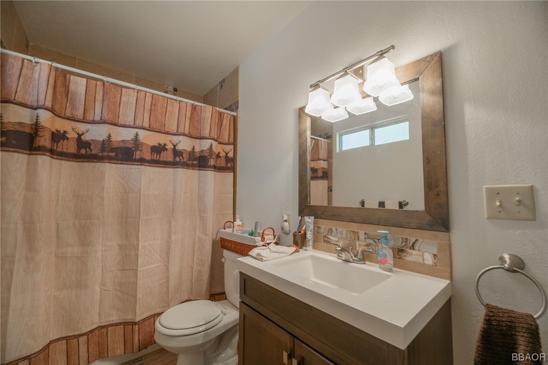 124 Riverside Avenue Sugarloaf, CA 92386 - Photo 18 of 22 a bathroom with a sink a toilet and shower curtain