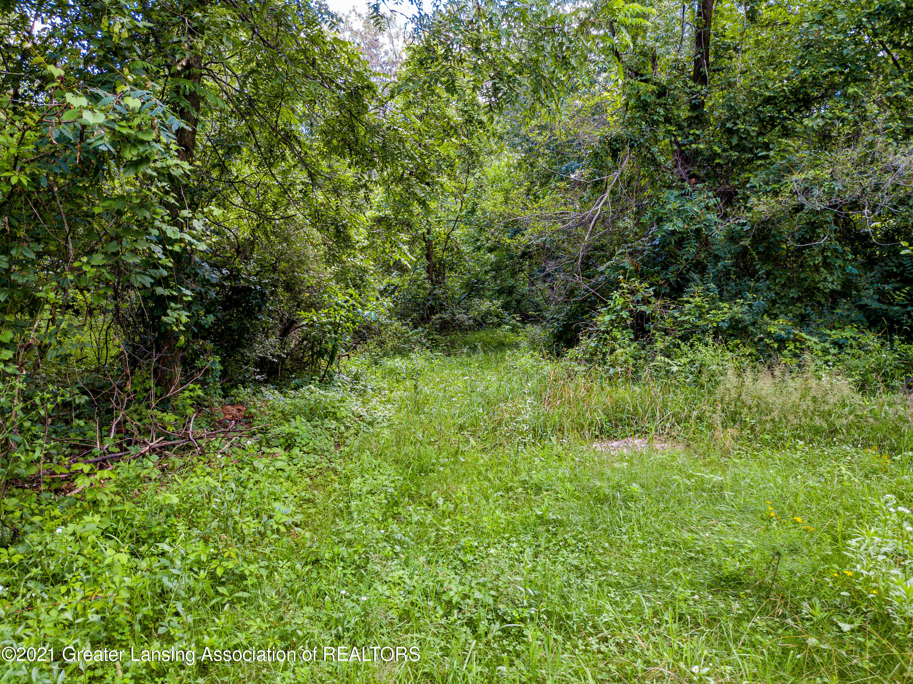 2055 North Meridian Road Ovid, MI 48866 - Photo 19 of 21 2055 N Meridian Rd Ovid MI-115