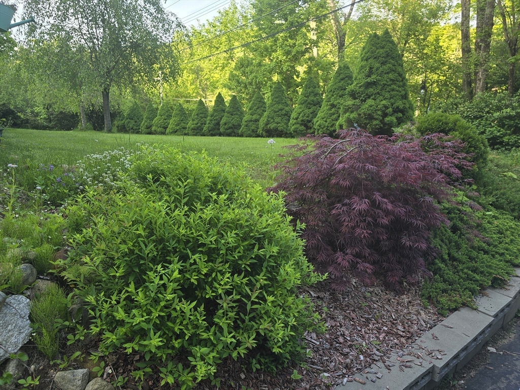 83 Dingley Dell Road Brimfield, MA 01010 - Photo 5 of 27 Gallery Image 5