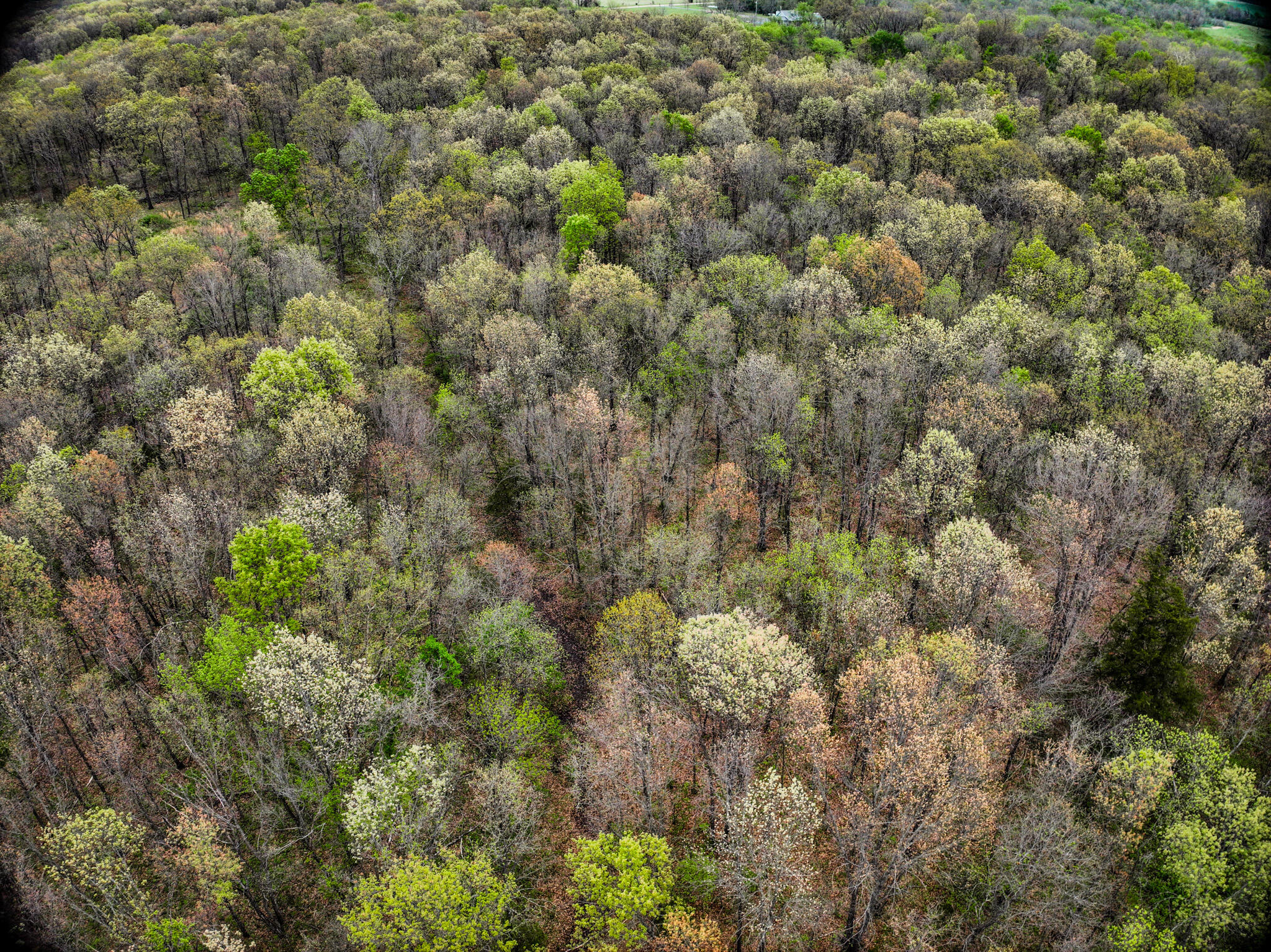 Lot 2 South 725 Road Stockton, MO 65785 - Photo 18 of 46 Stockton_725_Rd-58