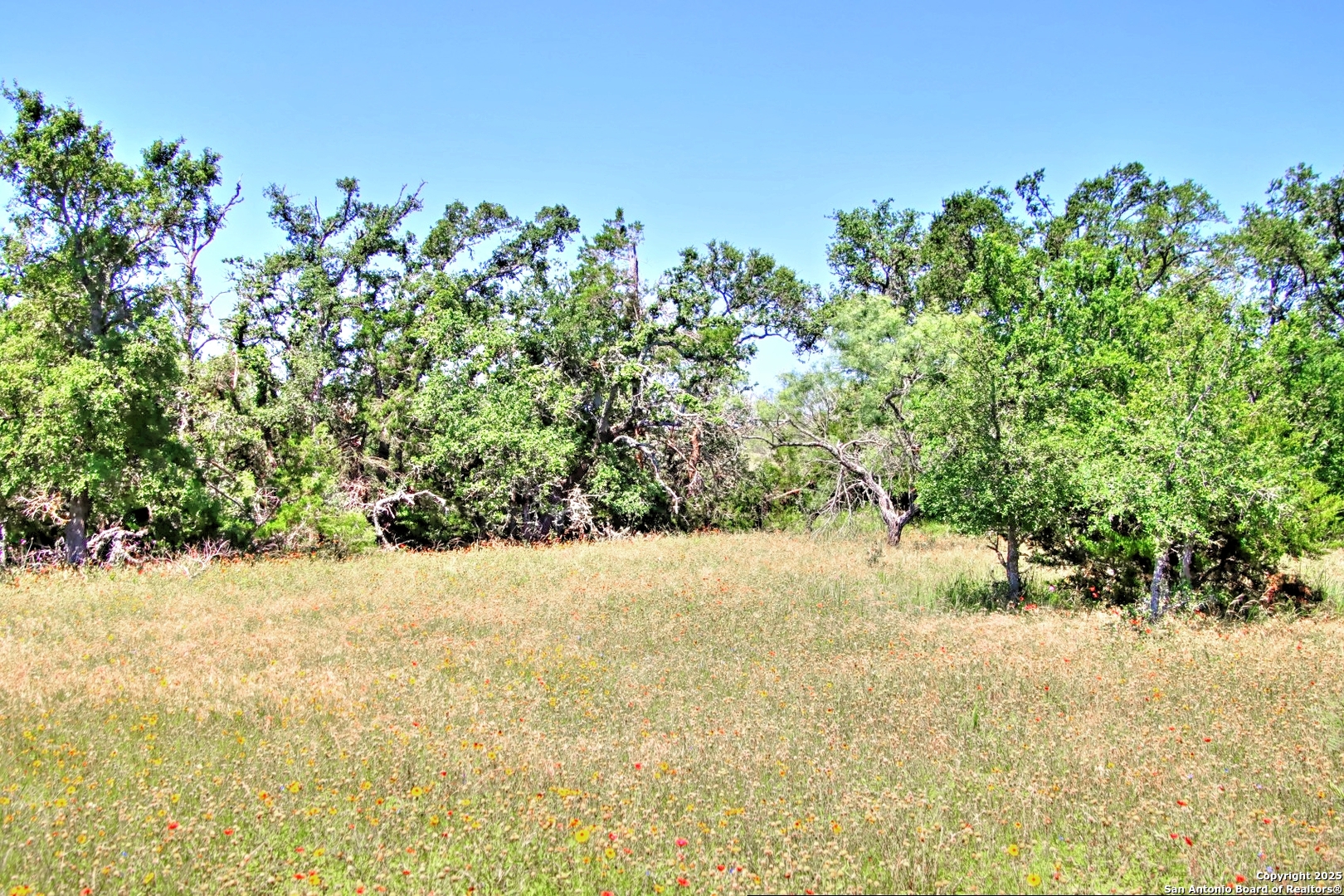 Lot 6 Rr 1323 Willow City, TX 78675 - Photo 11 of 24 a view of a yard with plants and wooden fence
