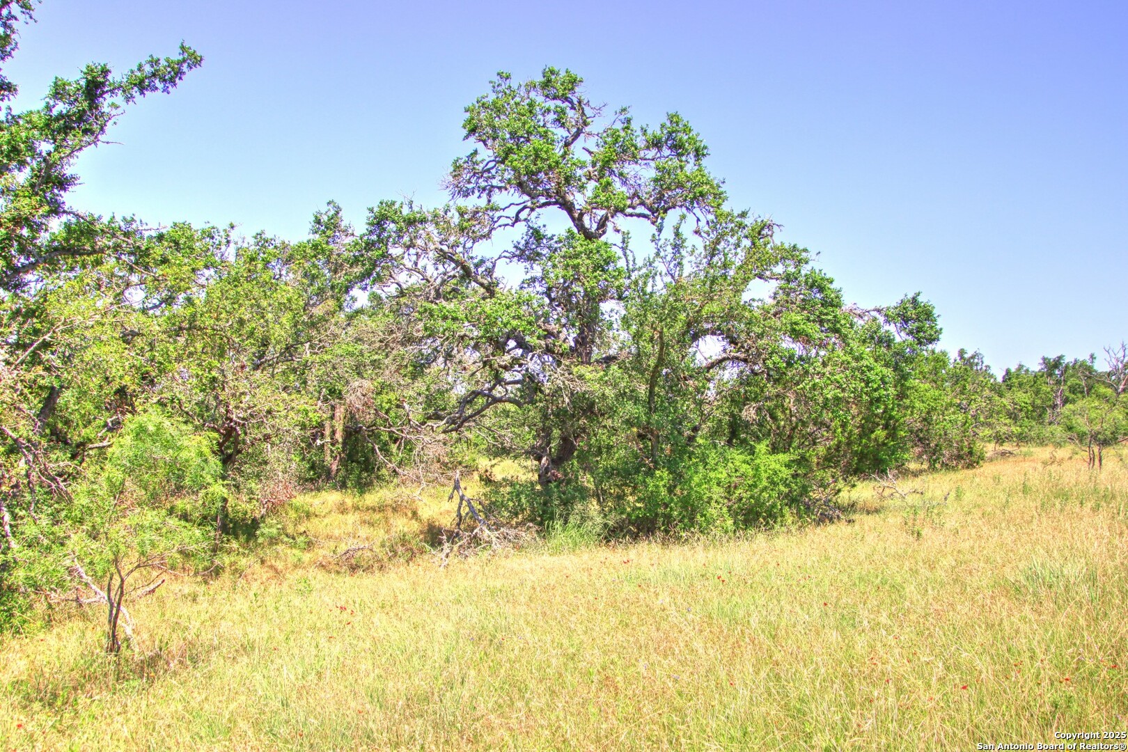 Lot 6 Rr 1323 Willow City, TX 78675 - Photo 17 of 24