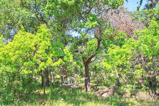 $1,154,650 | Lot 6 Rr 1323, Willow City, TX 78675