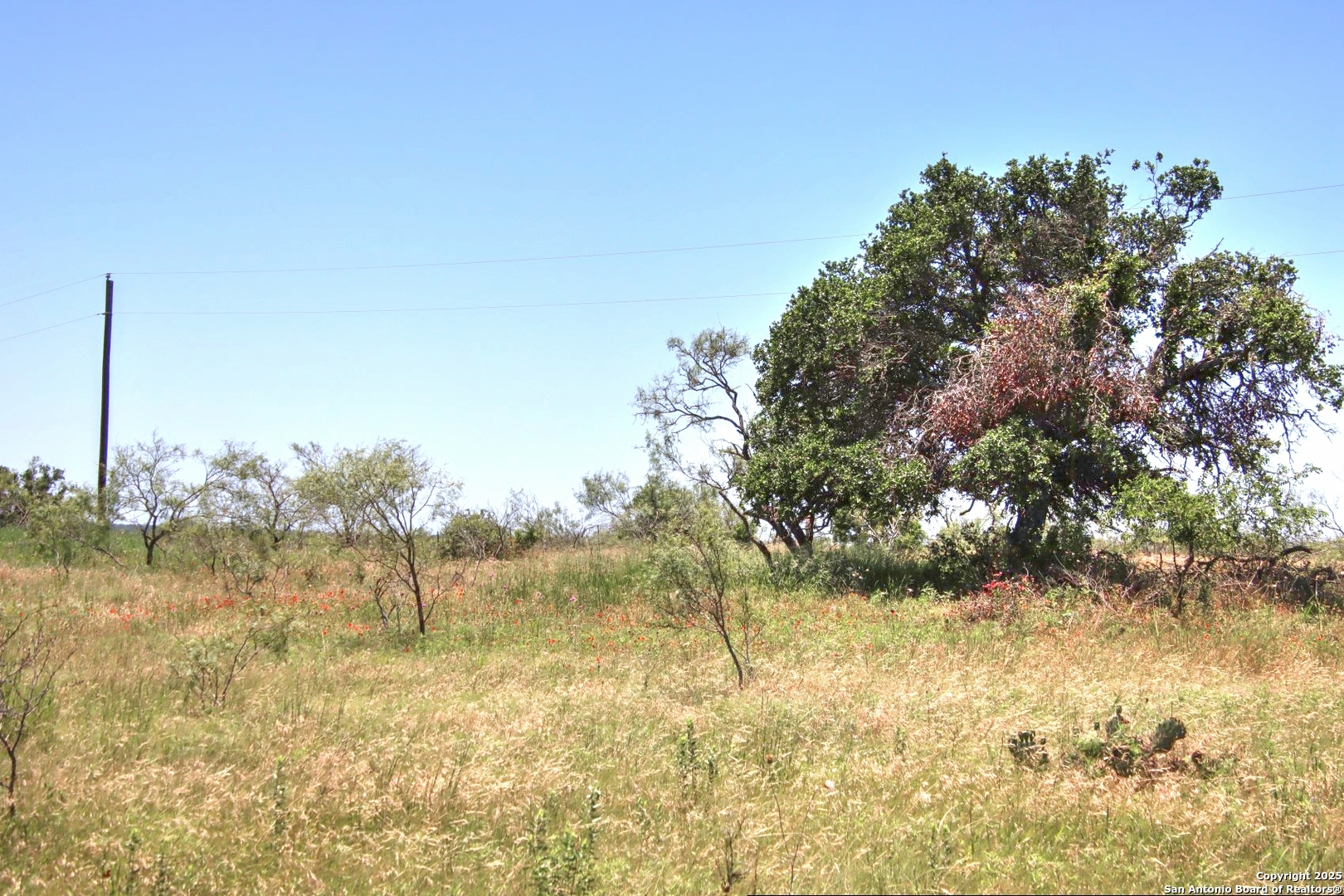 Lot 6 Rr 1323 Willow City, TX 78675 - Photo 22 of 24