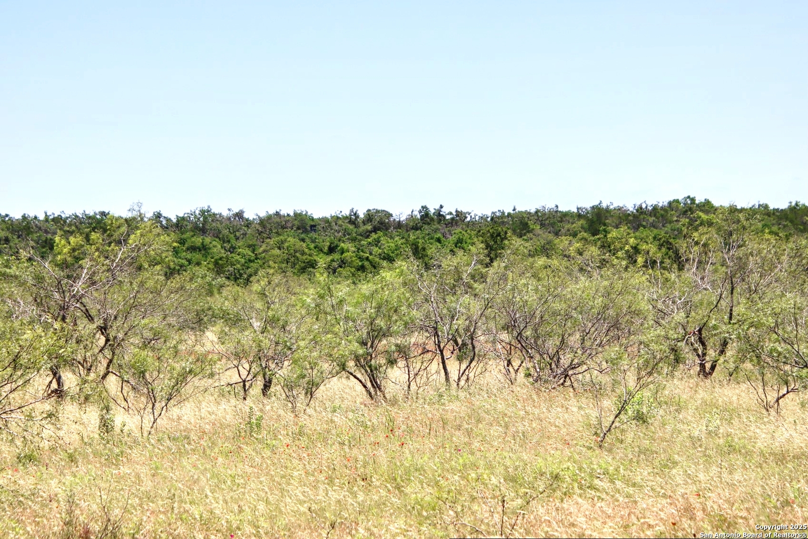 Lot 6 Rr 1323 Willow City, TX 78675 - Photo 23 of 24 a view of a yard