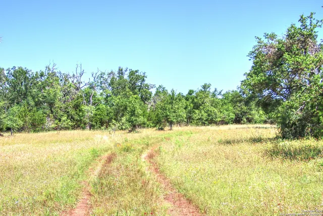 a view of yard with trees