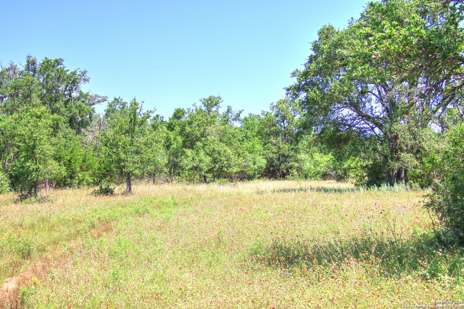Lot 6 Rr 1323 Willow City, TX 78675 - Photo 10 of 24 a view of an ocean from a yard