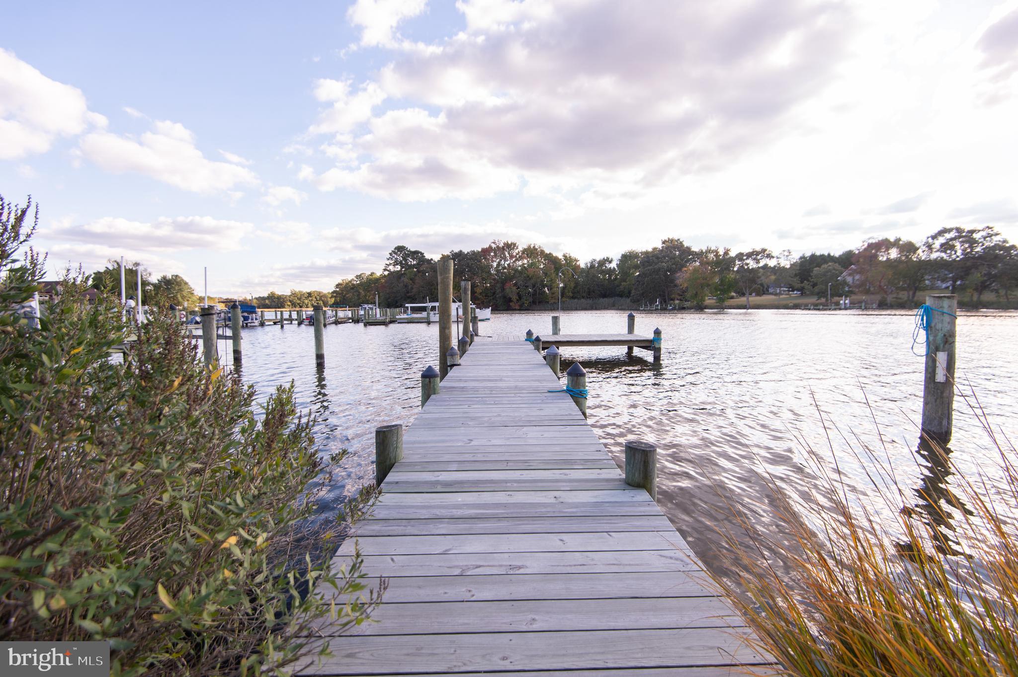 a park view with water view and boat
