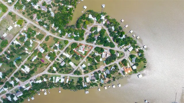 a picture of flowers