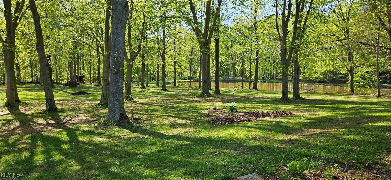 7836 Beach Road Wadsworth, OH 44281 - Photo 4 of 22 View of back yard and pond