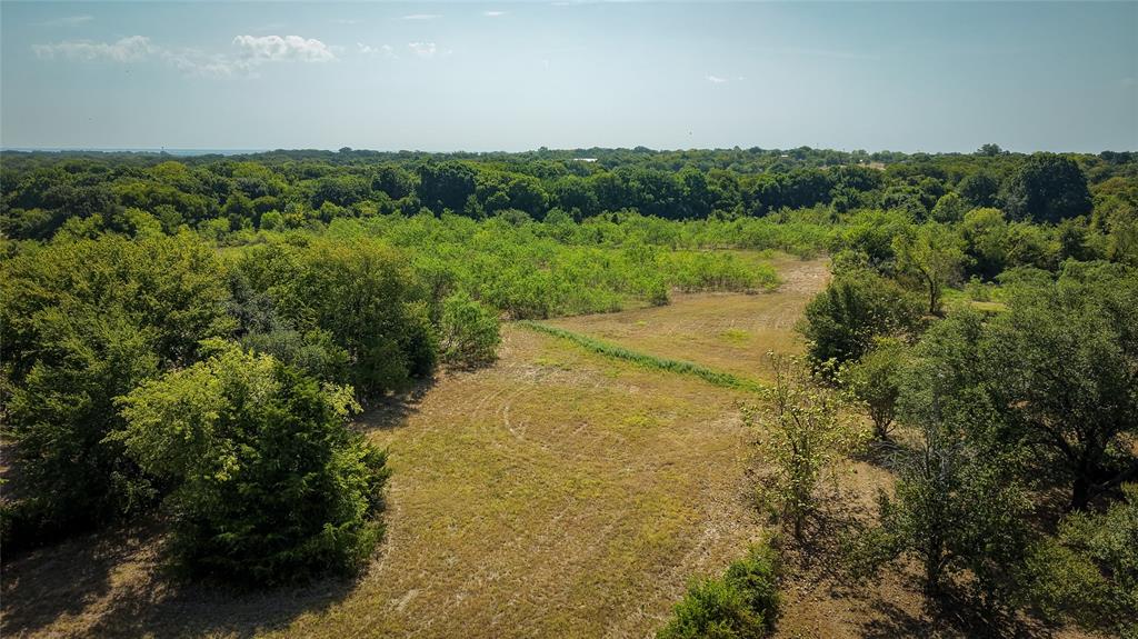 Tbd Stacks Road Ennis, TX 75119 - Photo 16 of 24 Expansive land parcel featuring open fields and dense tree lines