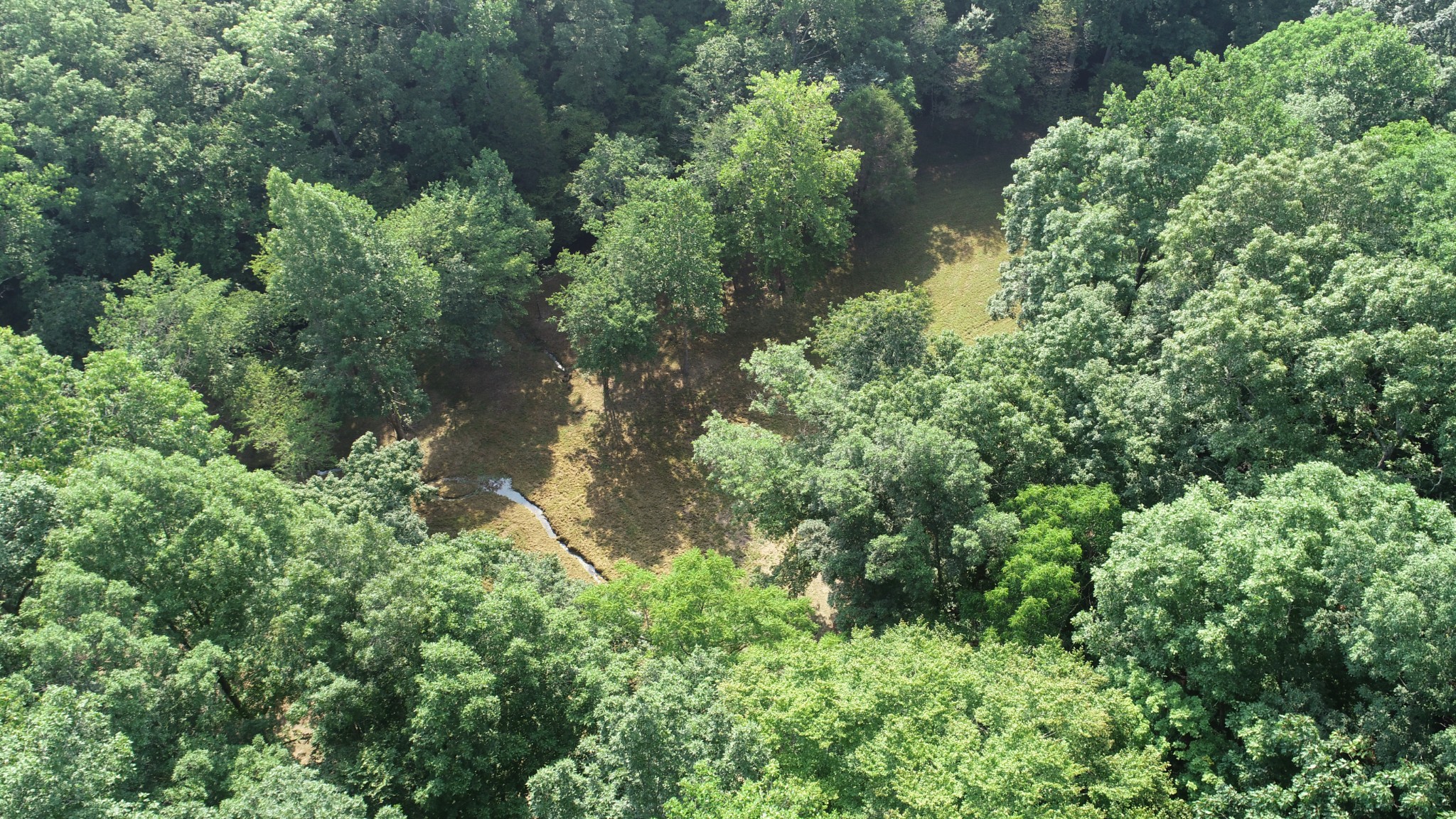 0 Dog Creek Road Waynesboro, TN 38485 - Photo 11 of 15 Gallery Image 11