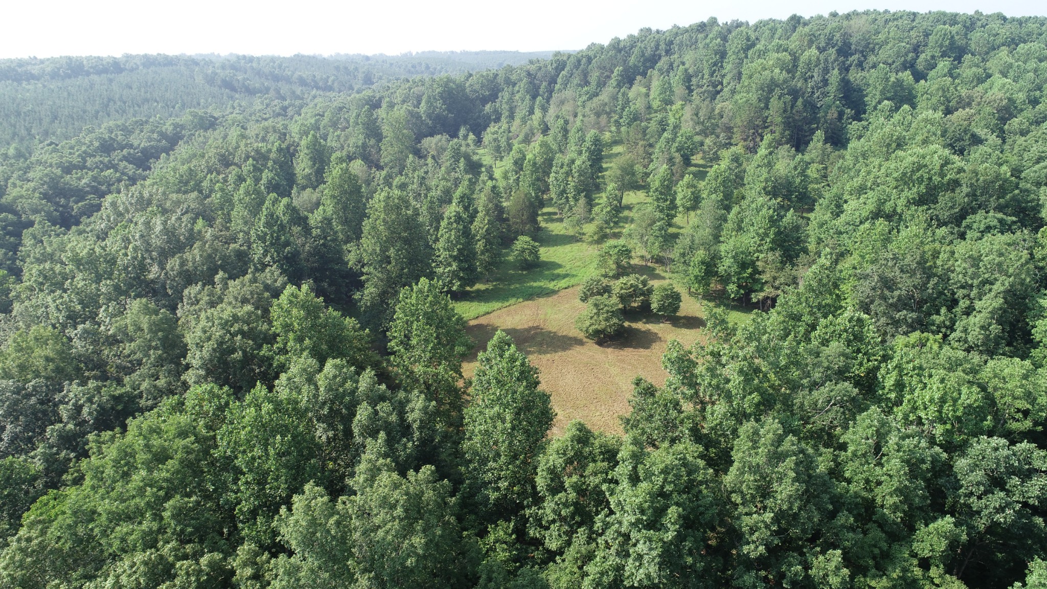 0 Dog Creek Road Waynesboro, TN 38485 - Photo 12 of 15 Gallery Image 12