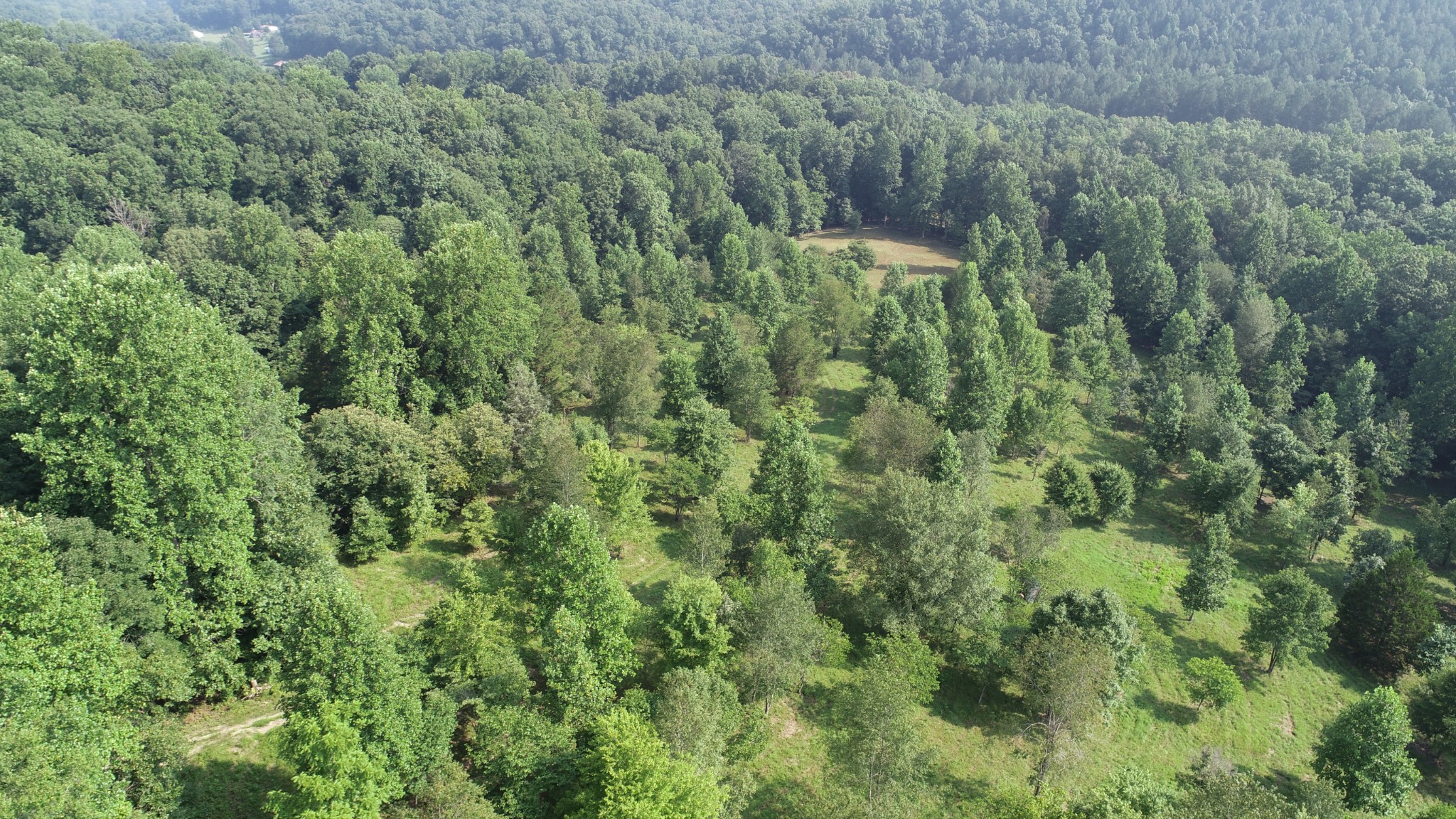 0 Dog Creek Road Waynesboro, TN 38485 - Photo 13 of 15 Gallery Image 13