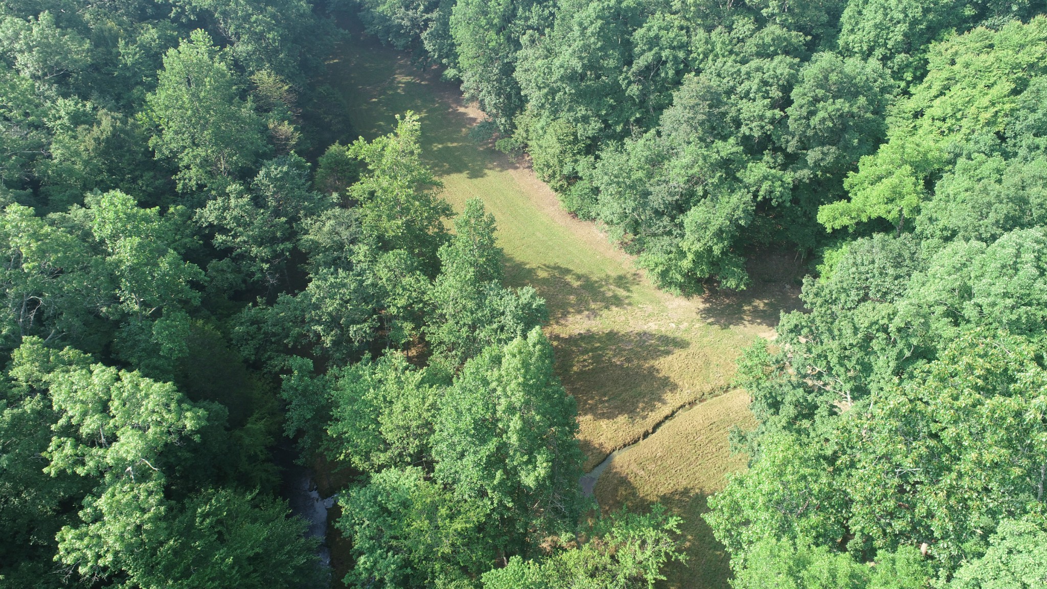 0 Dog Creek Road Waynesboro, TN 38485 - Photo 5 of 15 Gallery Image 5