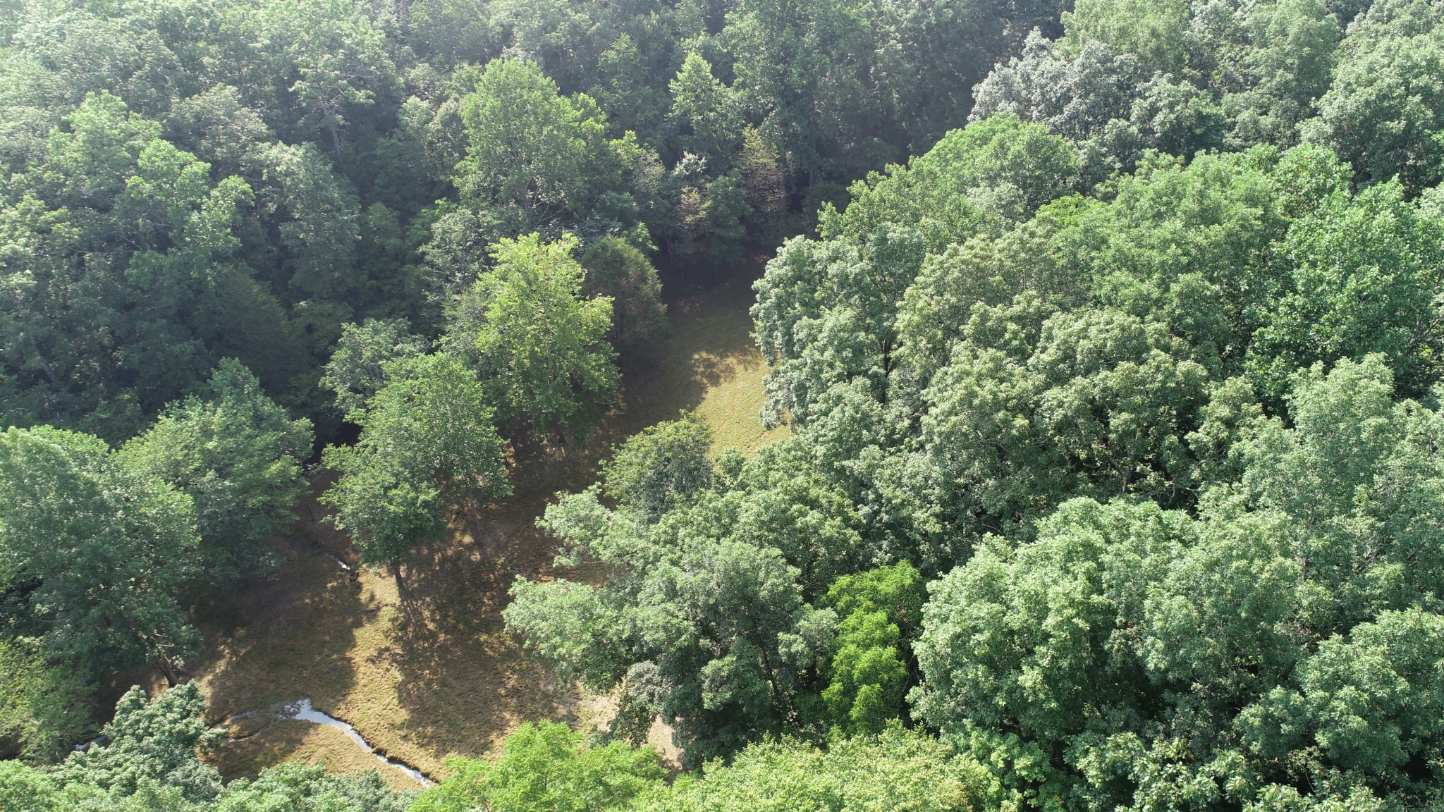 0 Dog Creek Road Waynesboro, TN 38485 - Photo 10 of 15 Gallery Image 10