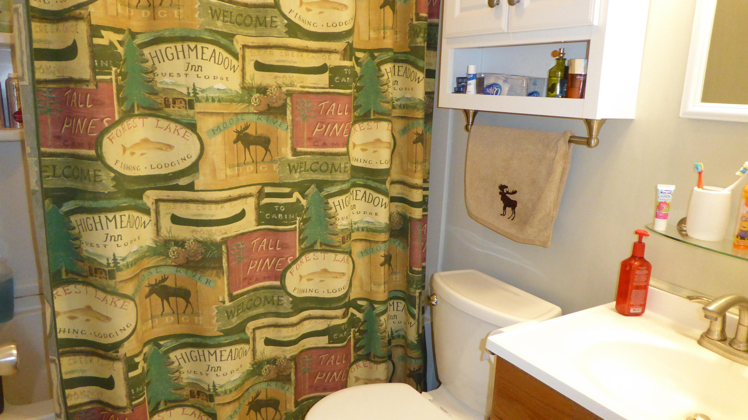 280 Rock Ridge Road Callaway, VA 24067 - Photo 27 of 37 a bathroom with a sink and mirror with toilet