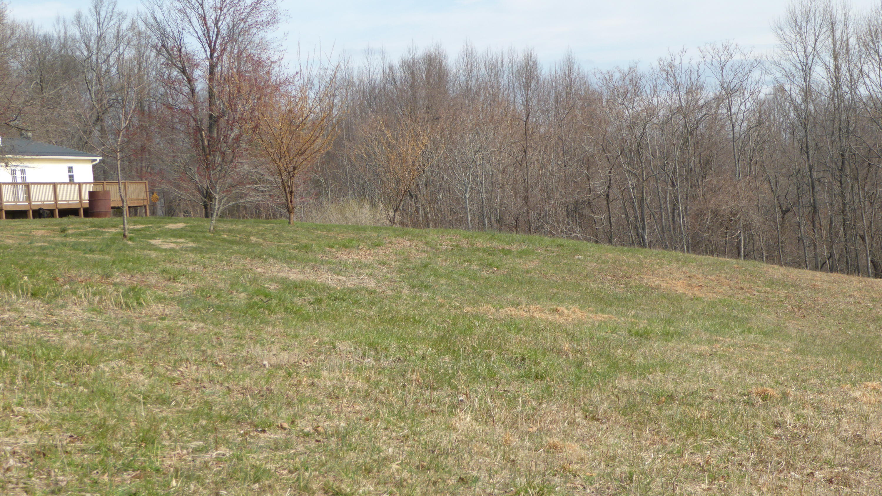 280 Rock Ridge Road Callaway, VA 24067 - Photo 31 of 37 a view of a yard with a trampoline