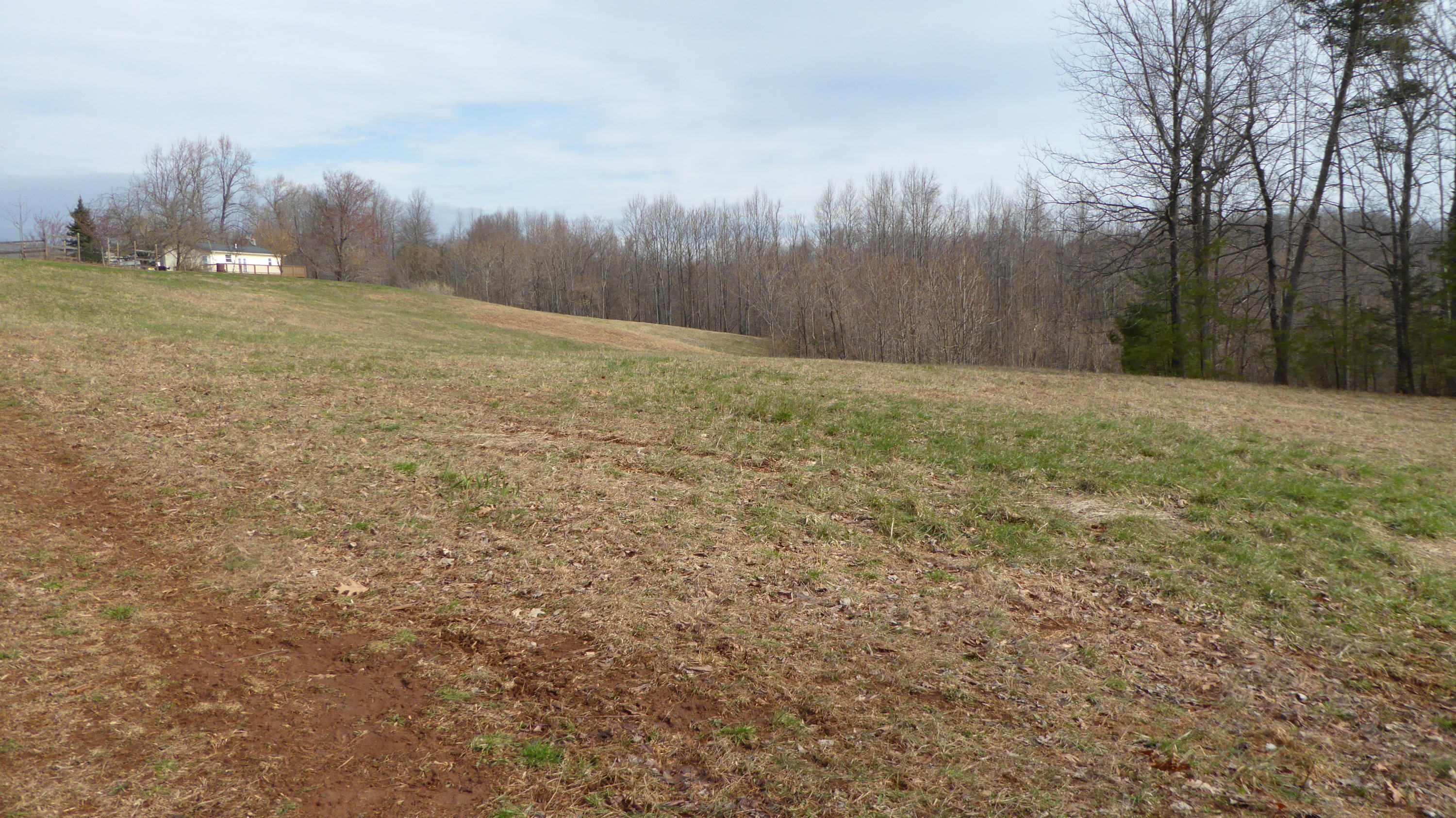 280 Rock Ridge Road Callaway, VA 24067 - Photo 33 of 37 a view of a yard with trees & wooden fence