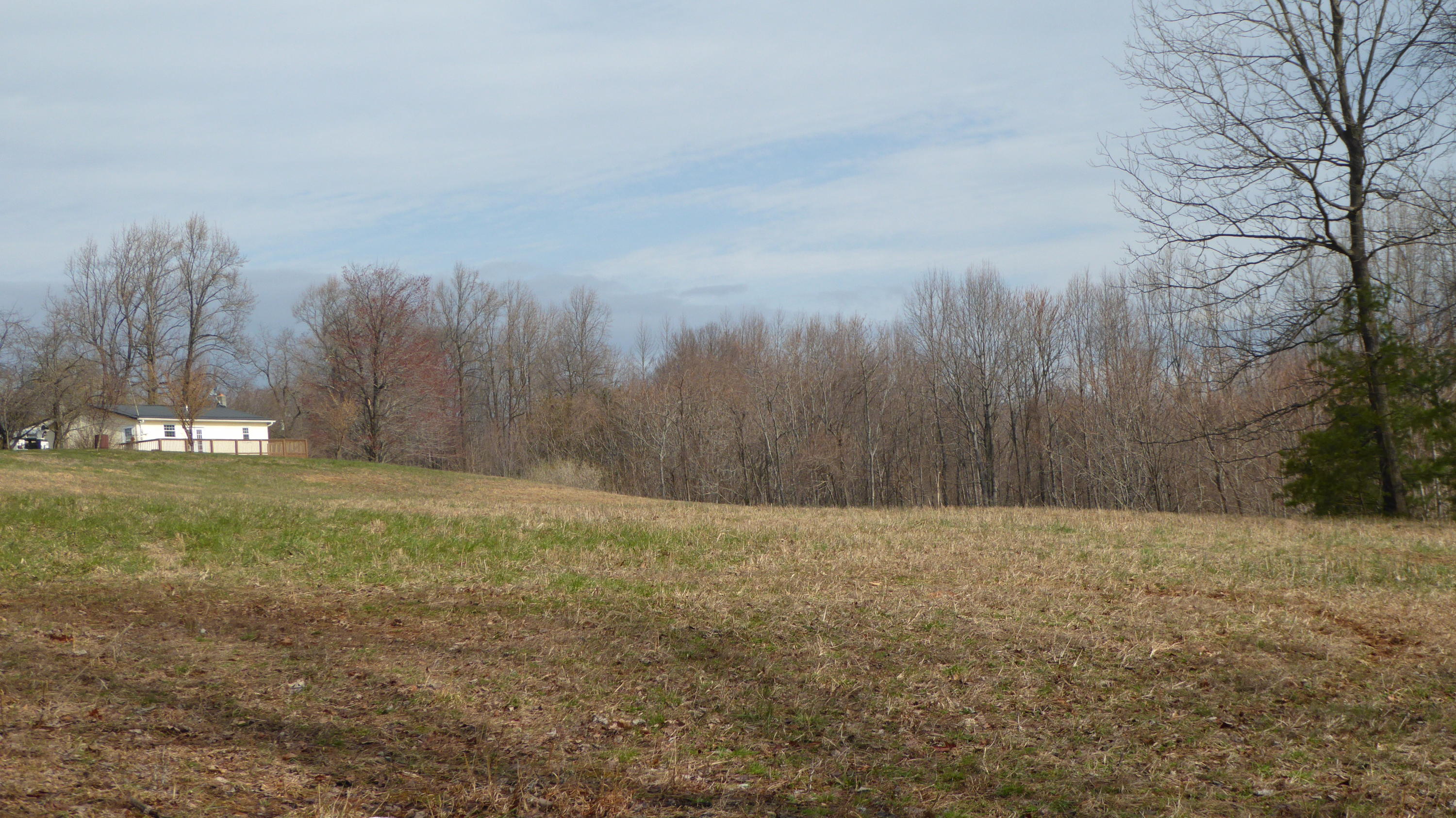 280 Rock Ridge Road Callaway, VA 24067 - Photo 35 of 37 a view of a yard