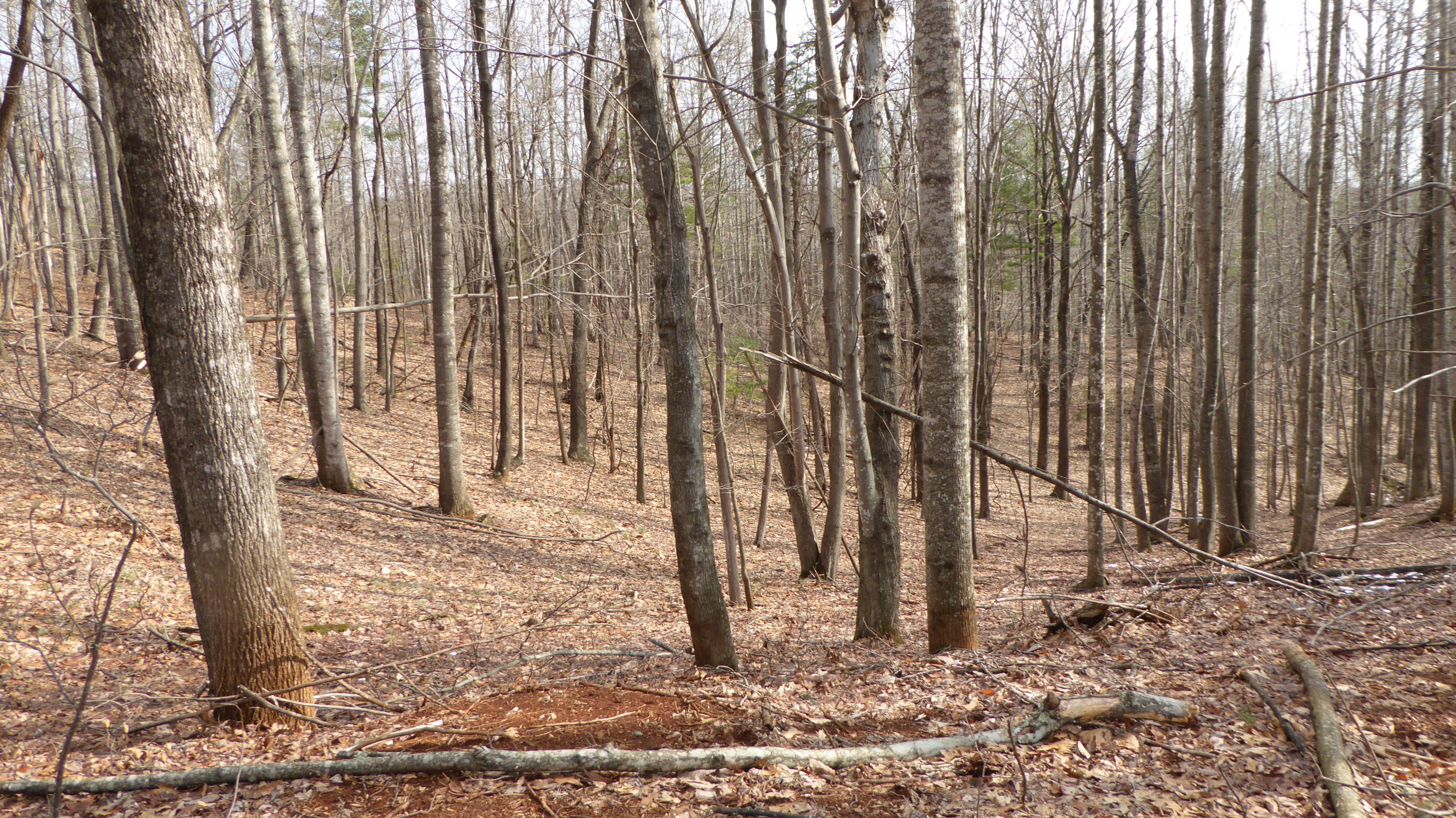 280 Rock Ridge Road Callaway, VA 24067 - Photo 36 of 37 a view of a backyard with iron fence