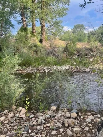 a view of a forest with trees