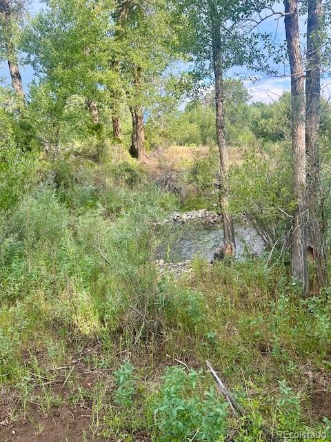 1122 Little River Poncha Springs, CO 81242 - Photo 3 of 12