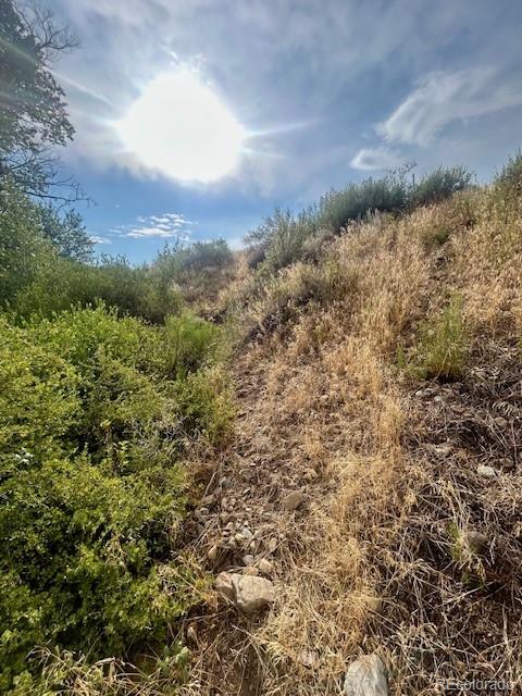 1122 Little River Poncha Springs, CO 81242 - Photo 8 of 12 a view of a yard