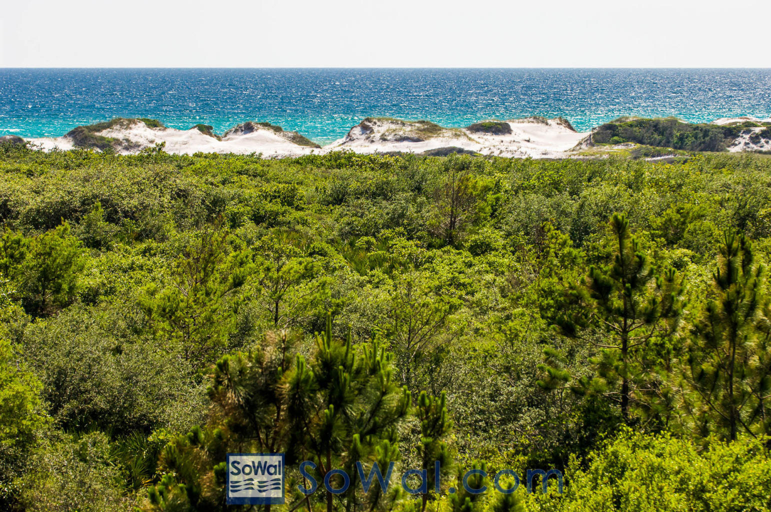590 Las Roblas Grande Drive Santa Rosa Beach, FL 32459 - Photo 6 of 20