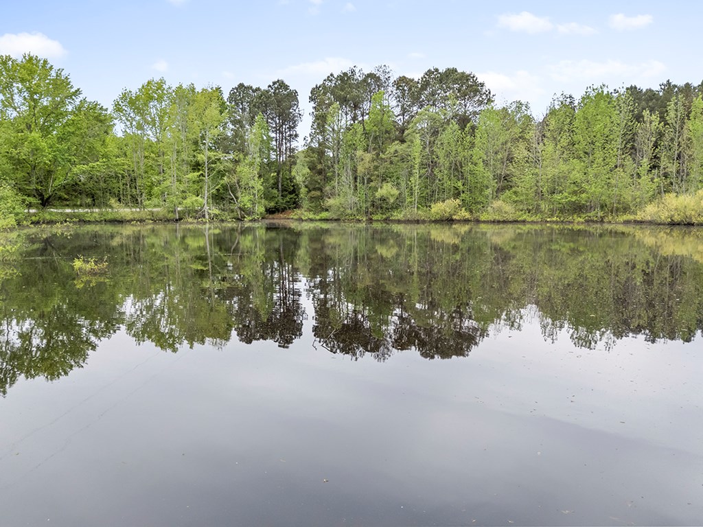 5437 Upper Mill Road McCormick, SC 29835 - Photo 20 of 25