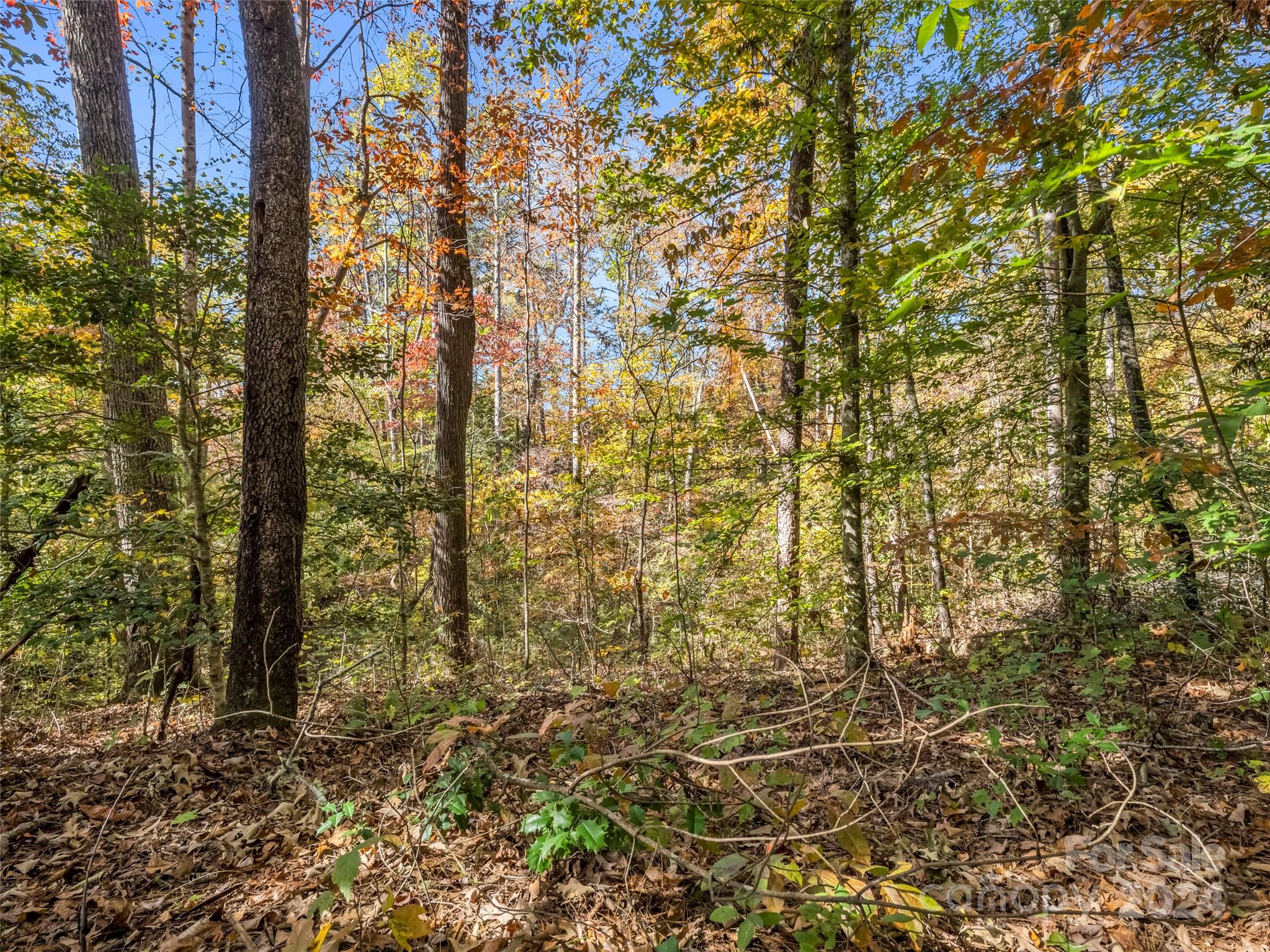 0 Thermal City Road Union Mills, NC 28167 - Photo 30 of 48