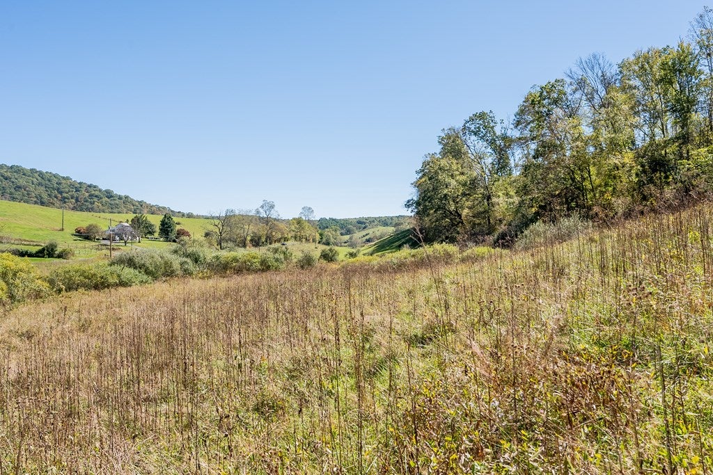 4-acres Carsonville Road Independence, VA 24348 - Photo 6 of 42 Gallery Image 6