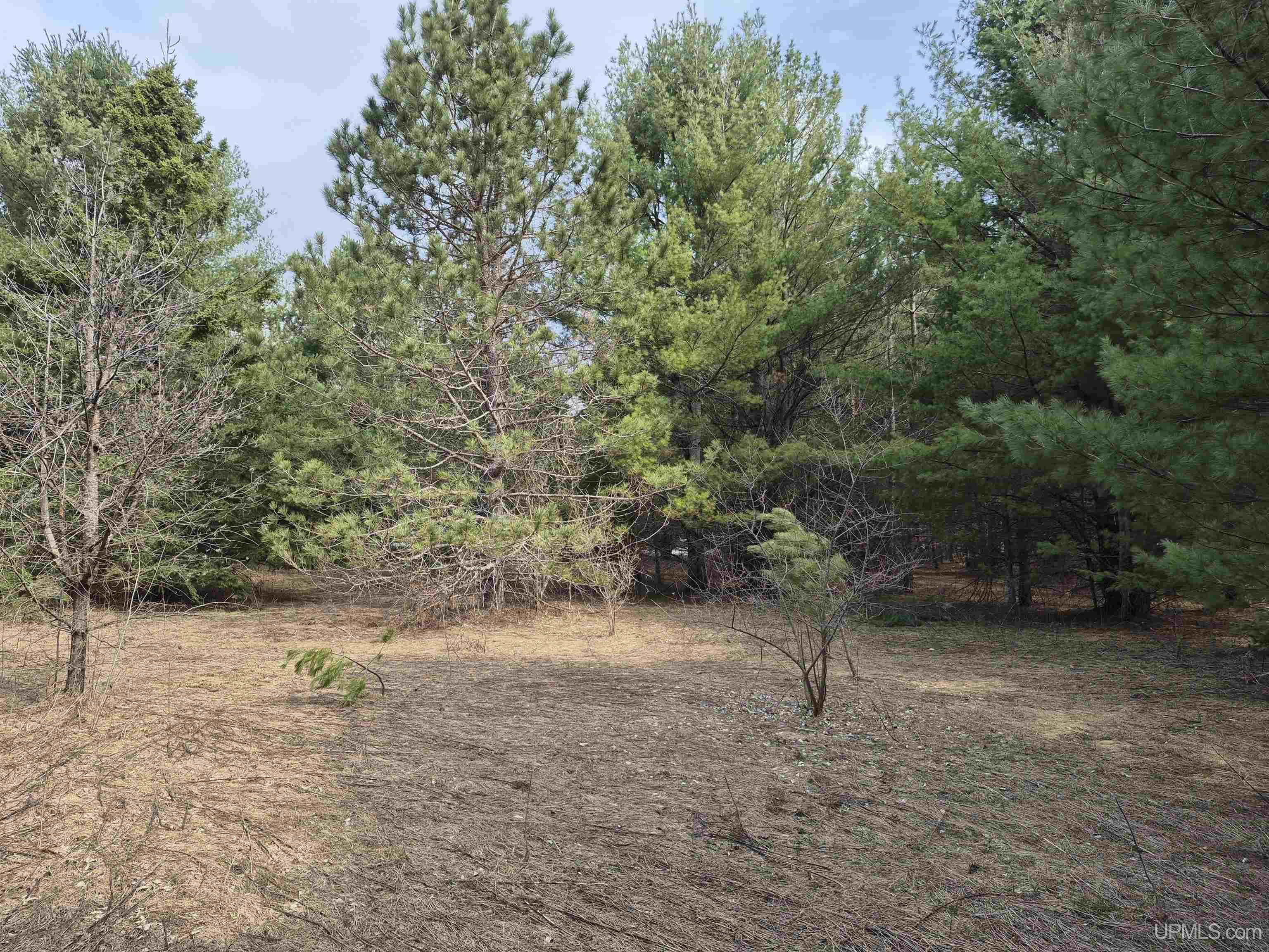 East 20 Quarry Road Gulliver, MI 49840 - Photo 2 of 47