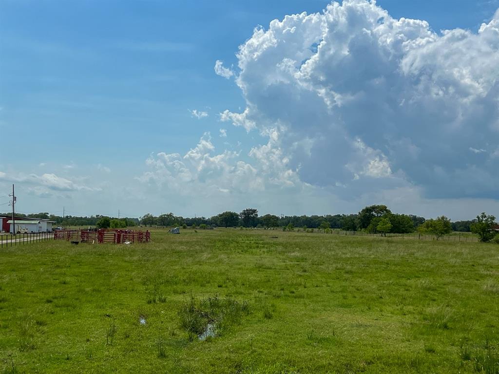 0 FM 686 Dayton, TX 77535 - Photo 4 of 8 View of yard featuring a rural view