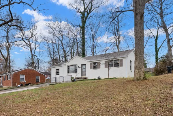 a view of a flower around in a yard